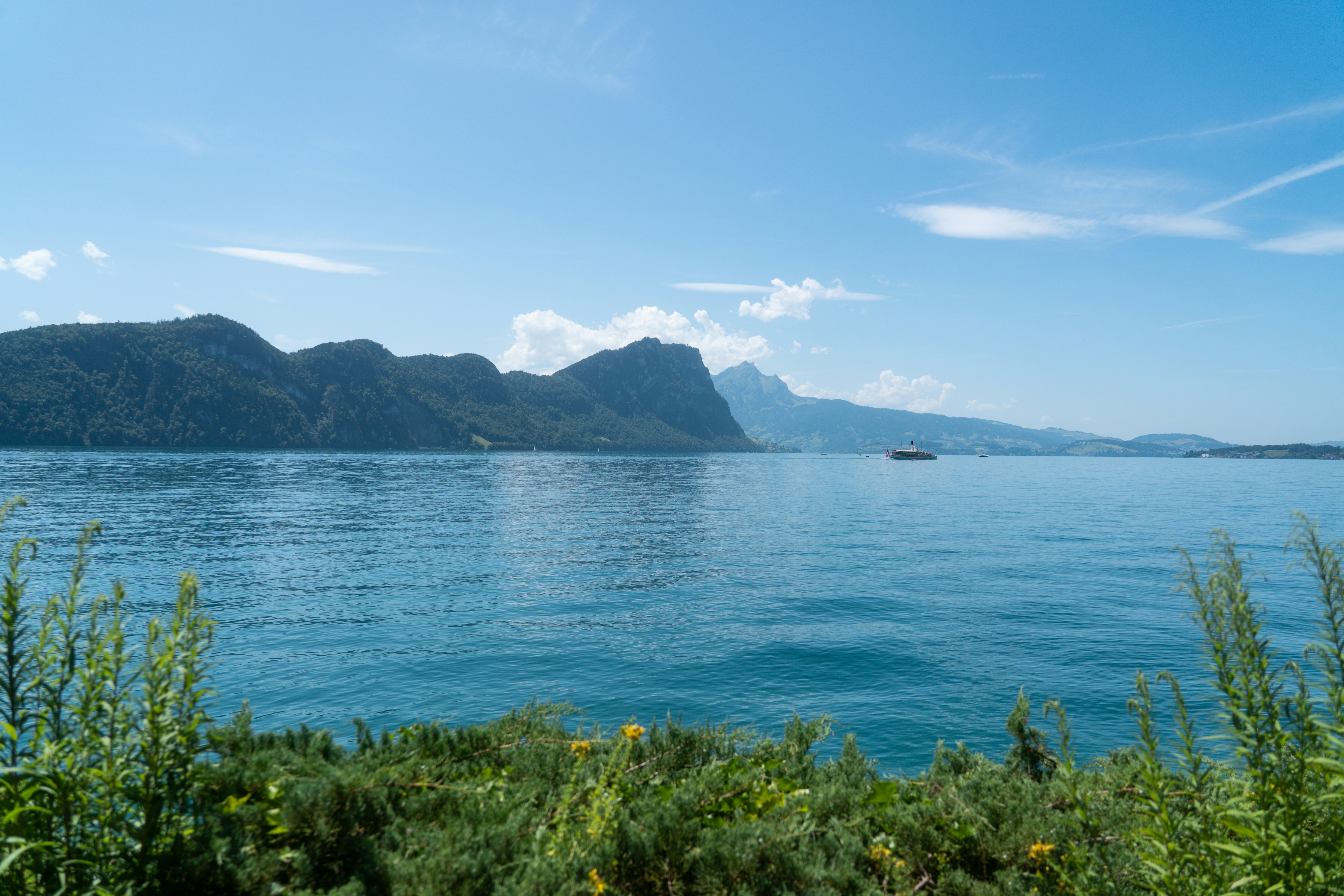 Photo by bionicdreamer