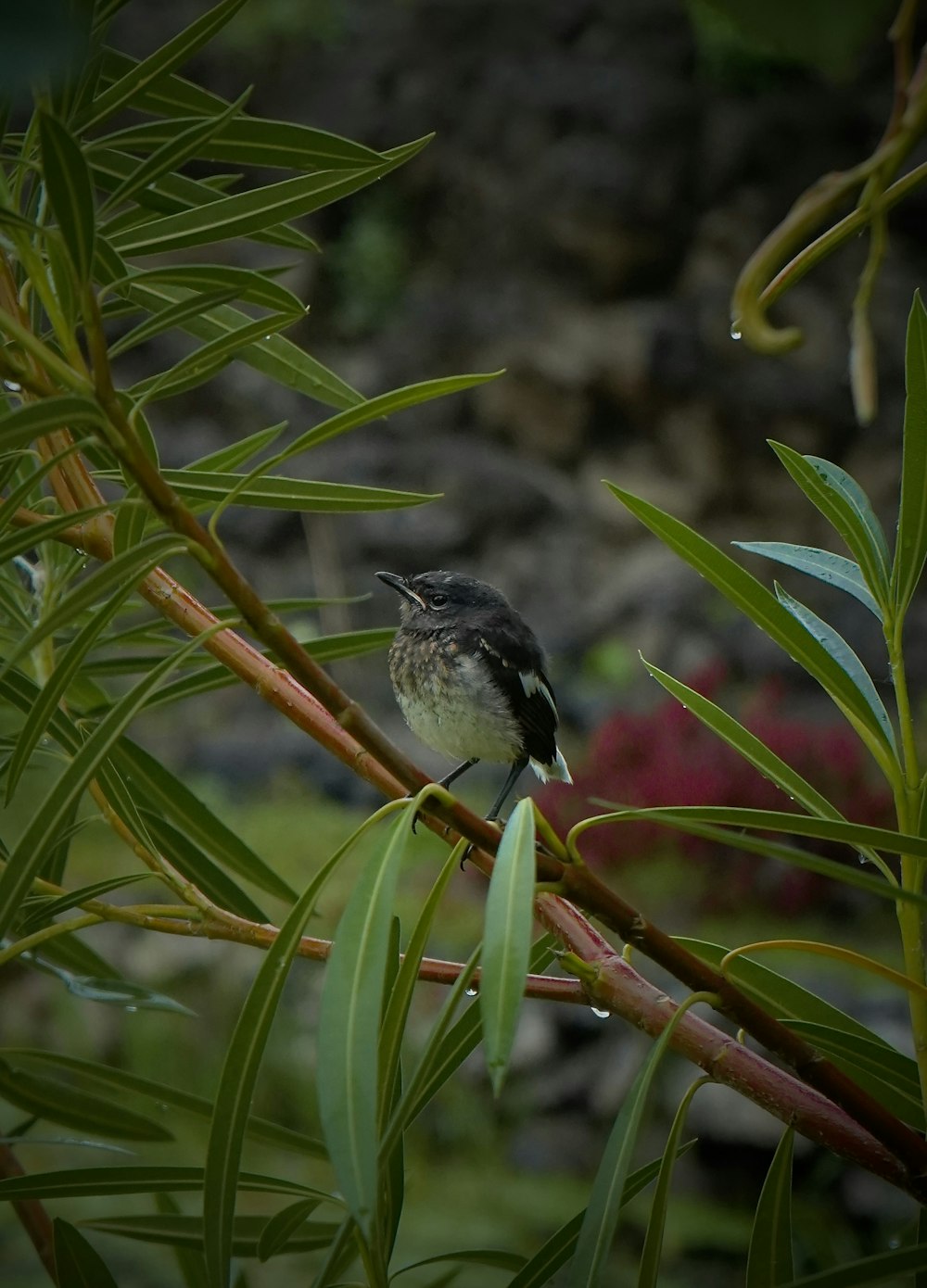 a small bird perched on top of a tree branch