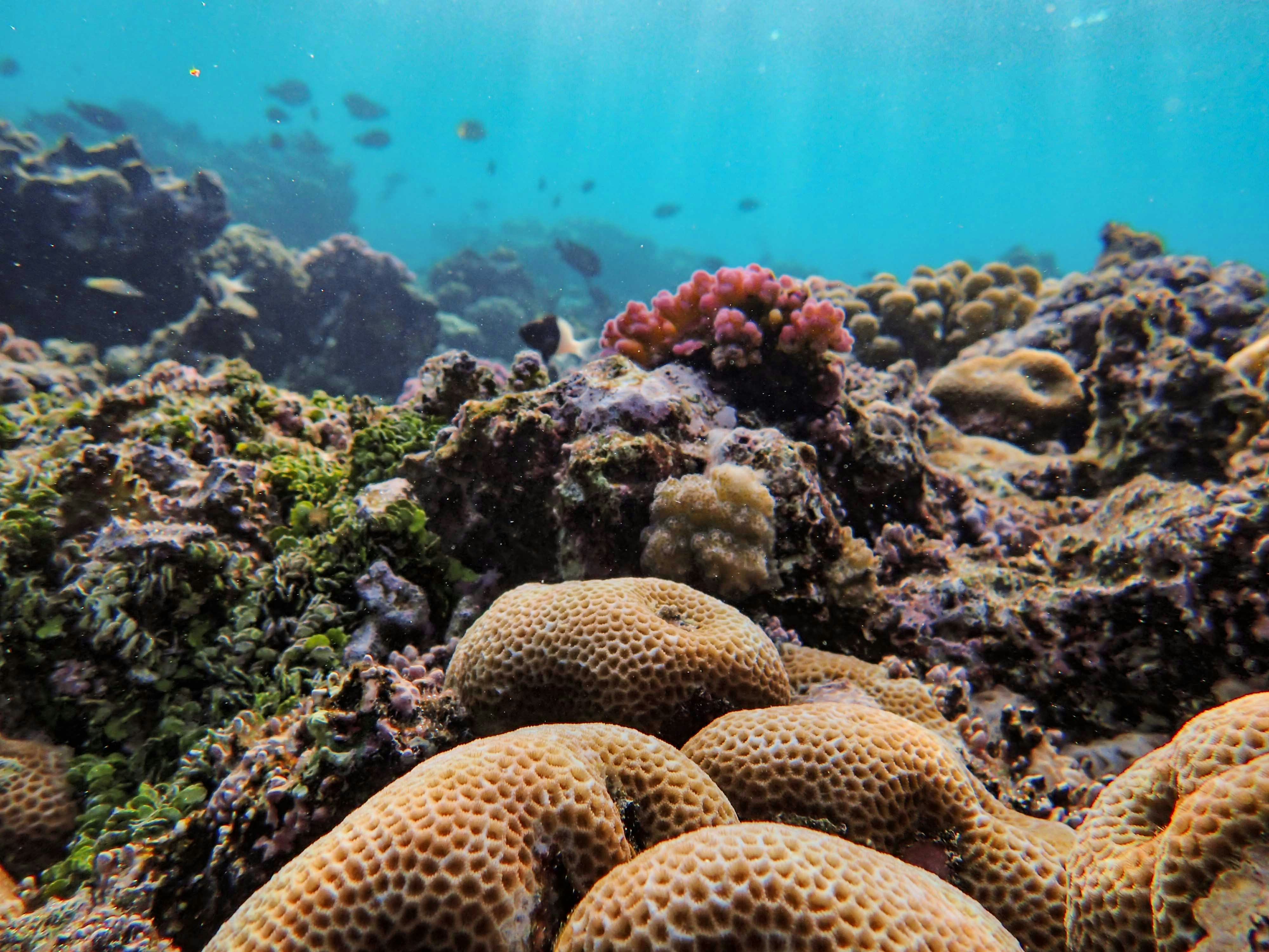 Photo by francesco_ungaro