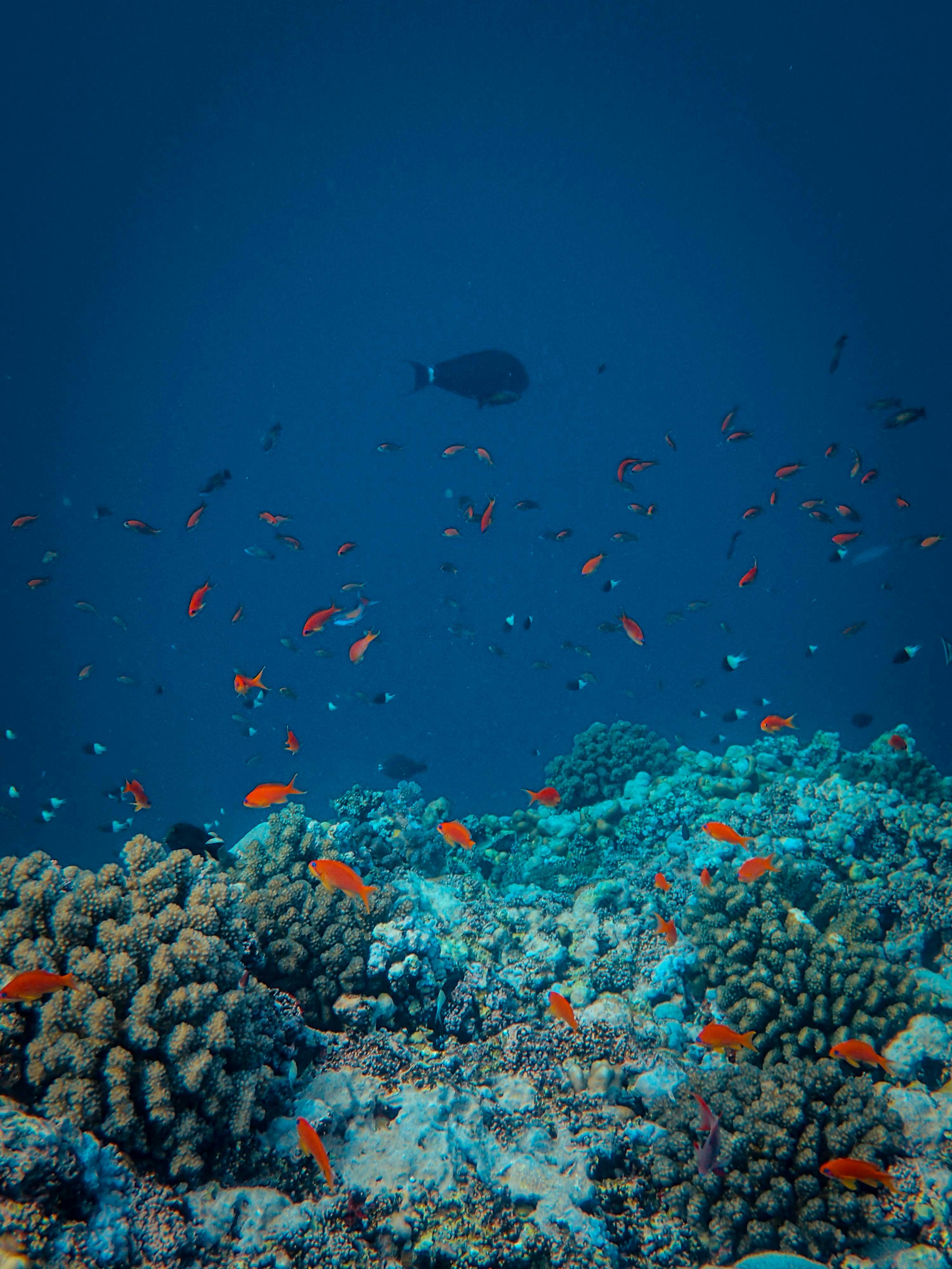 Photo by francesco_ungaro