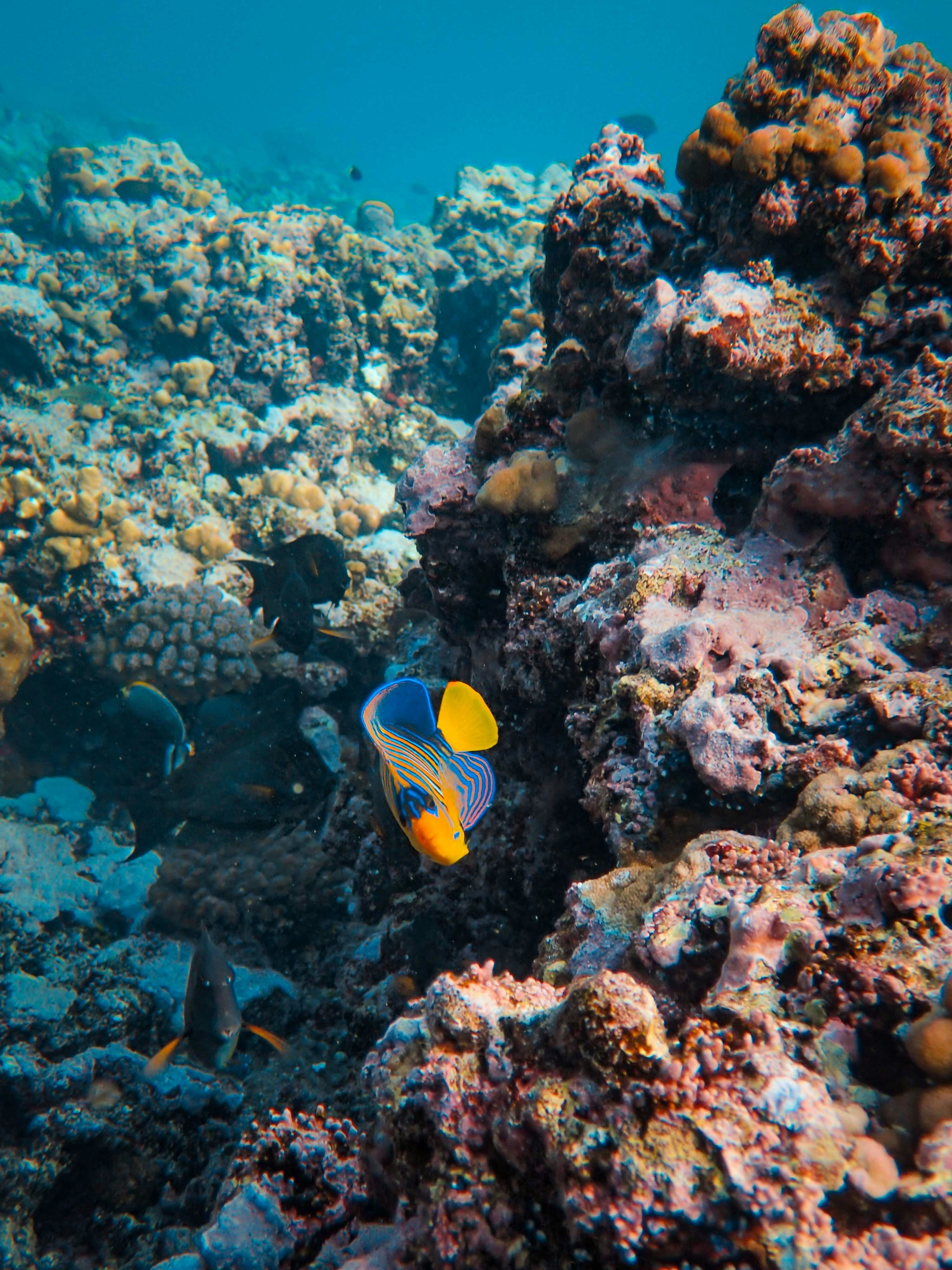 Photo by francesco_ungaro