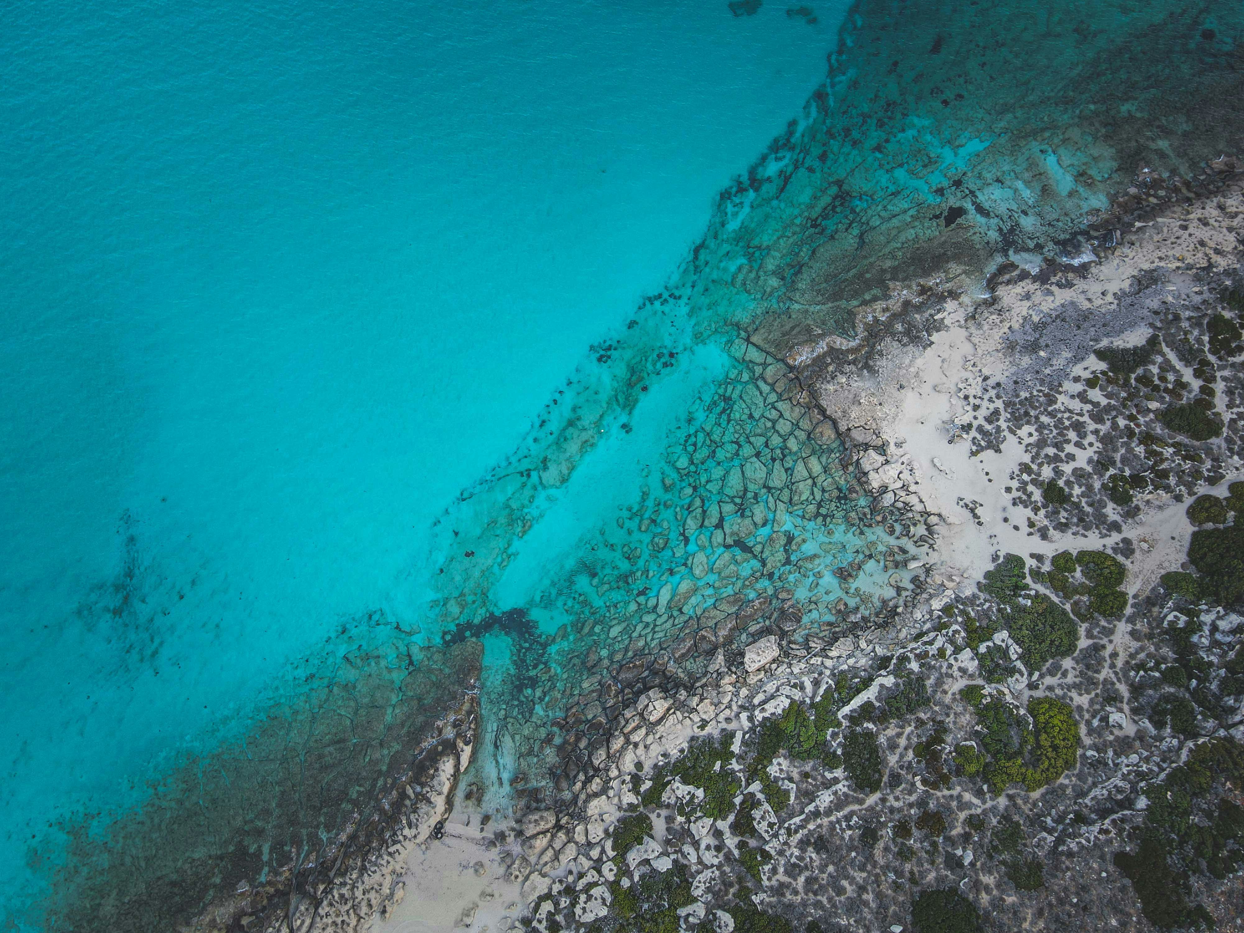 Photo by francesco_ungaro