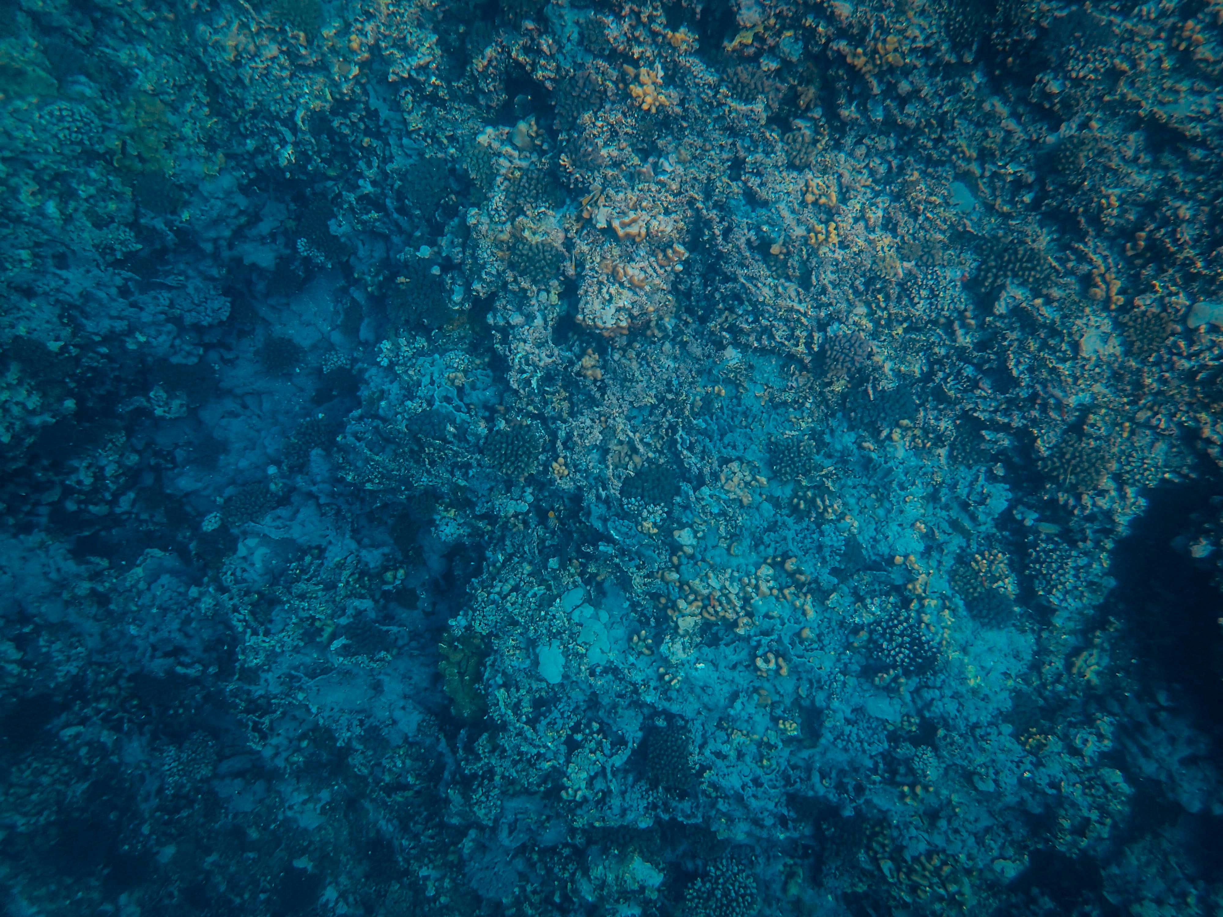 Photo by francesco_ungaro