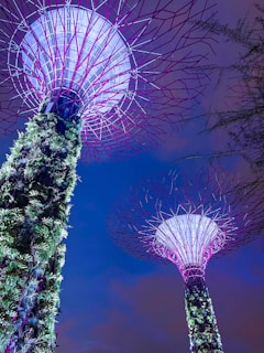 A stunning twilight view of the twin towers of Discovery Park Phase 2, illuminated against the night sky with lush vertical gardens visible.