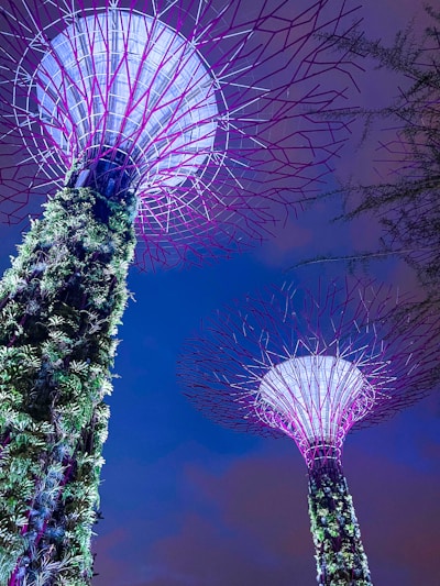 A stunning twilight view of the twin towers of Discovery Park Phase 2, illuminated against the night sky with lush vertical gardens visible.