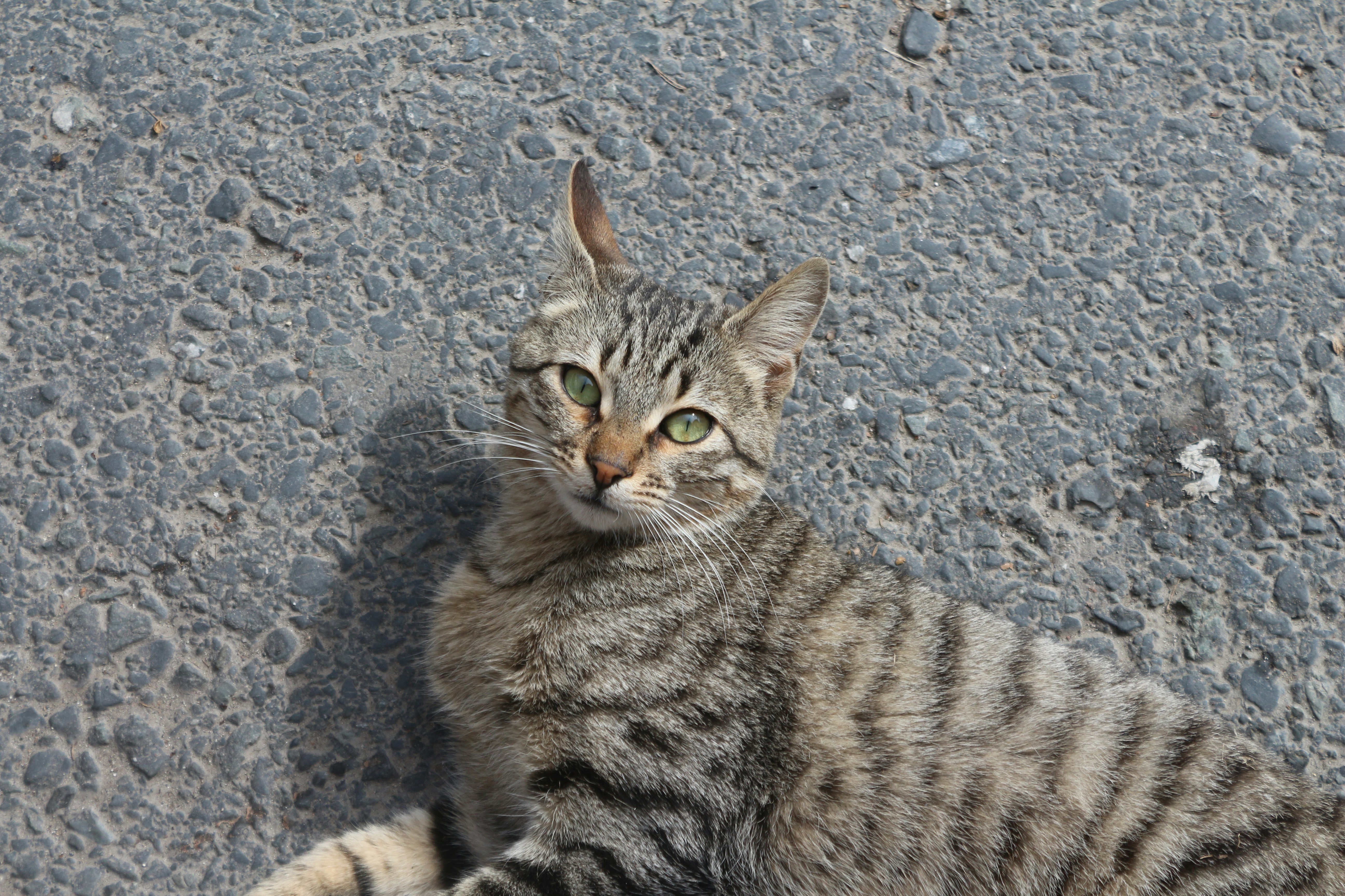 Photo by vuslatsytrk