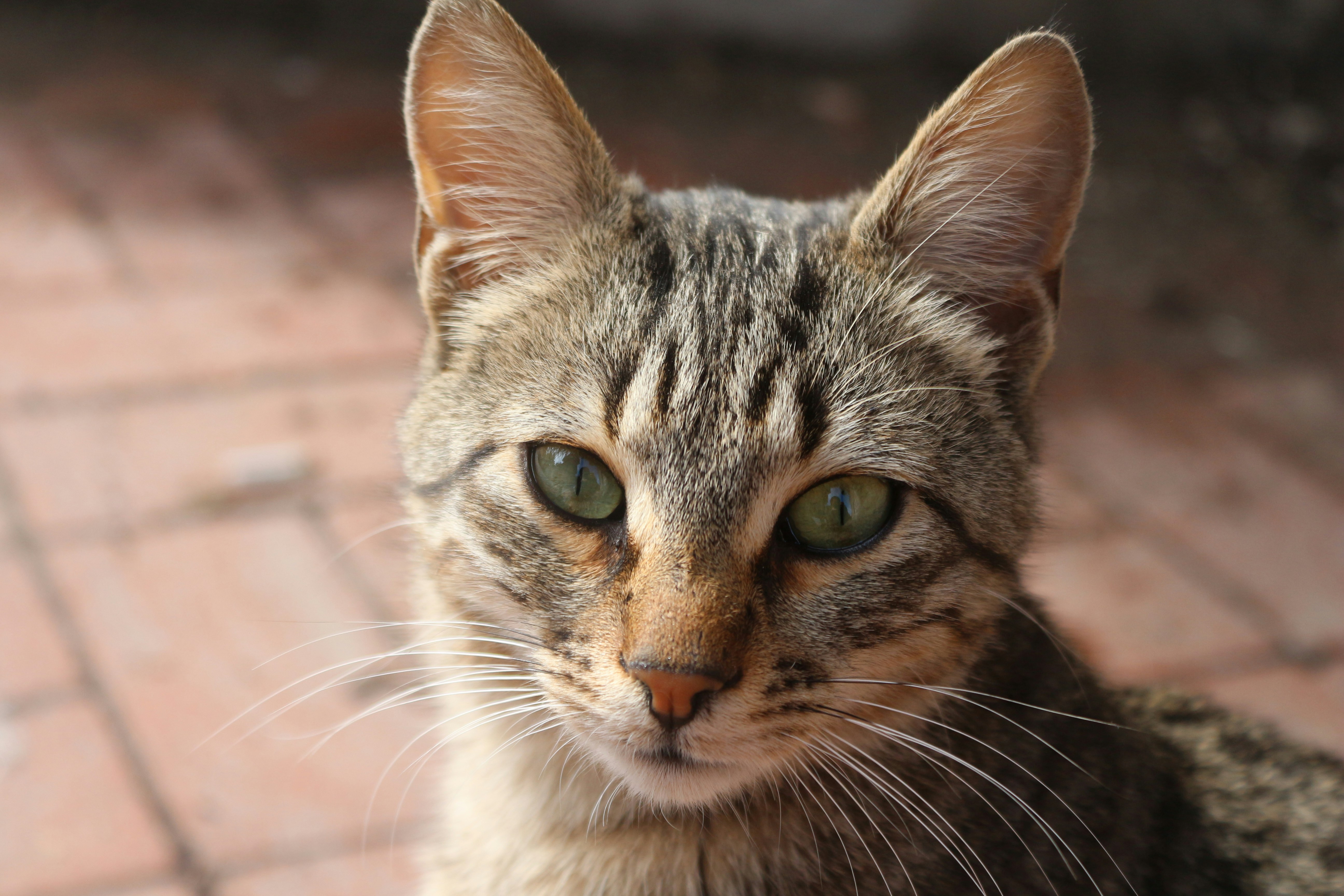 Photo by vuslatsytrk