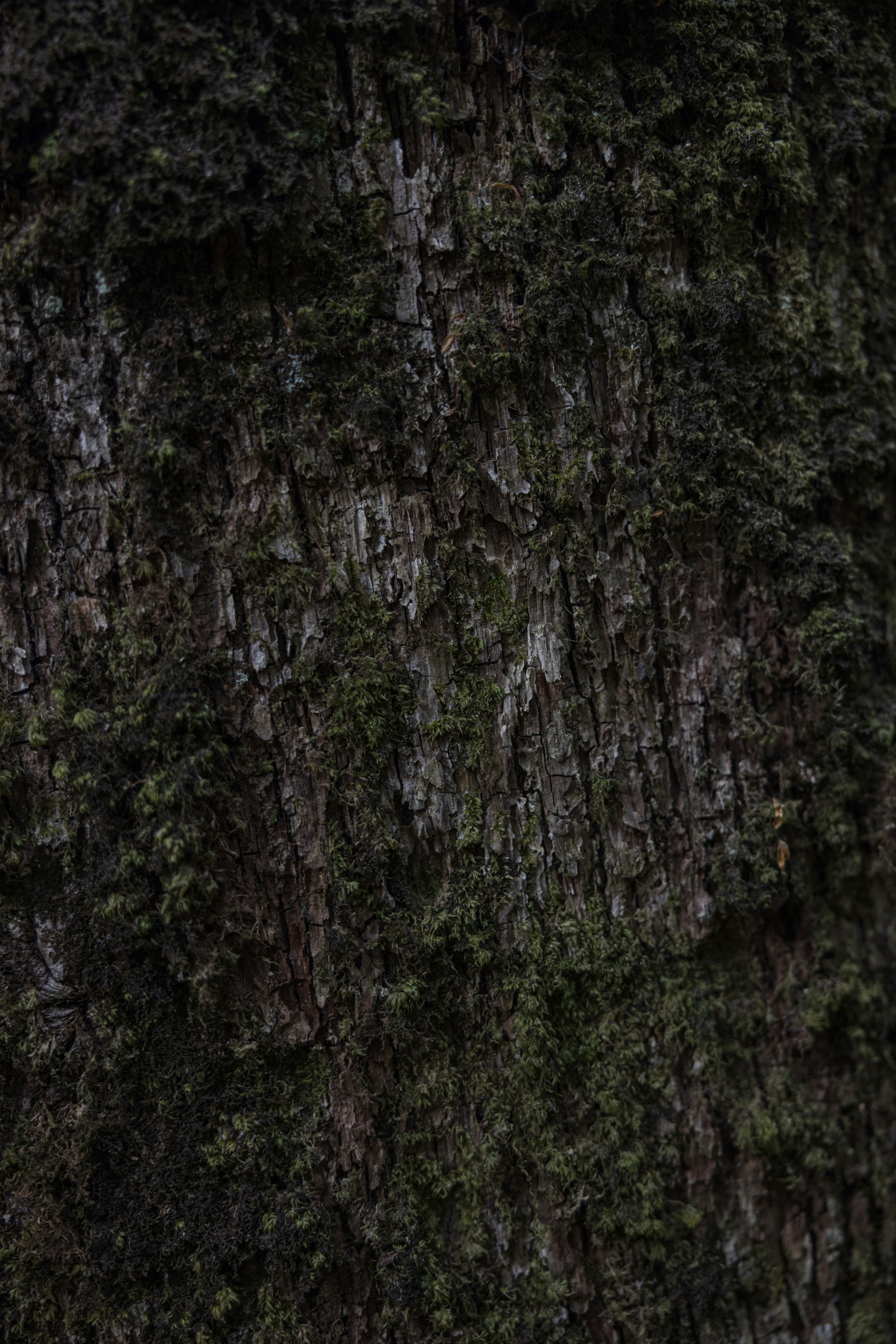 Photo by lukethorntonofficial