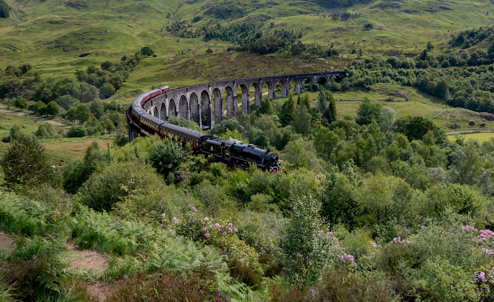a train traveling over a lush green hillside
