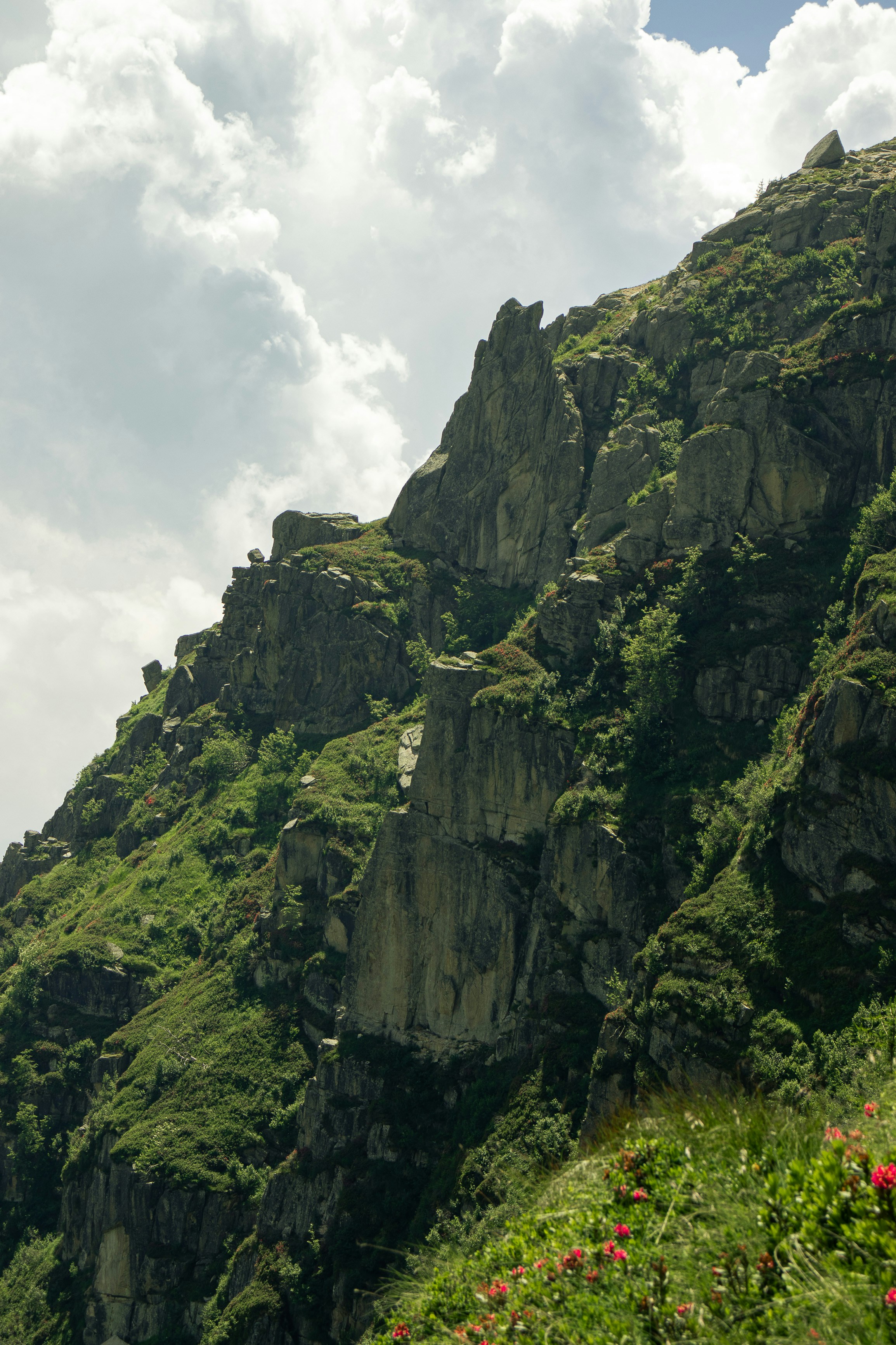 Photo by riccardofarinazzo