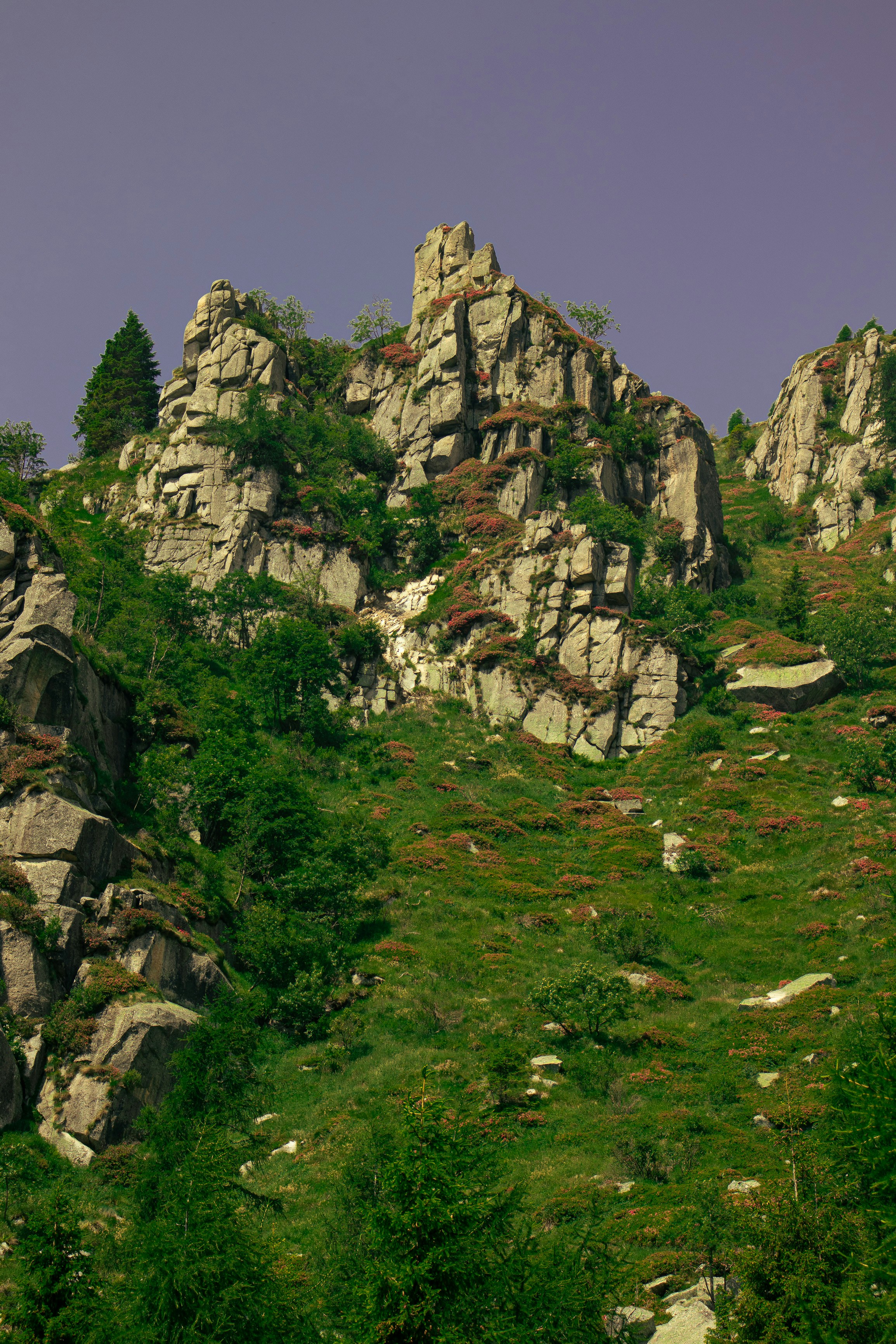 Photo by riccardofarinazzo