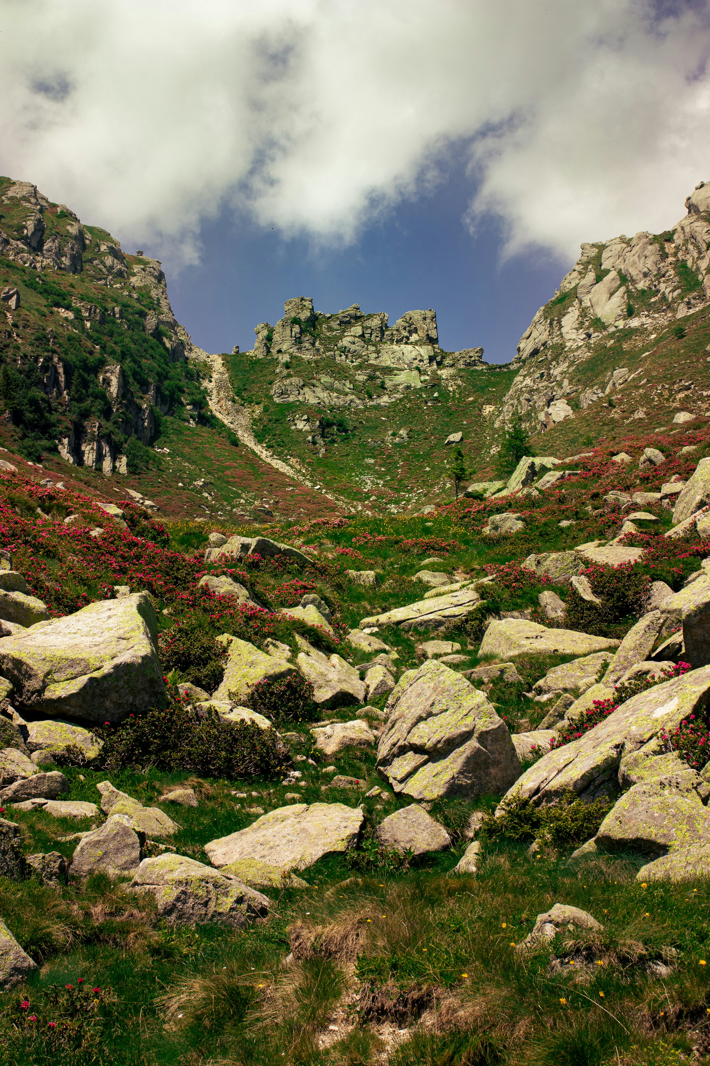 Photo by riccardofarinazzo