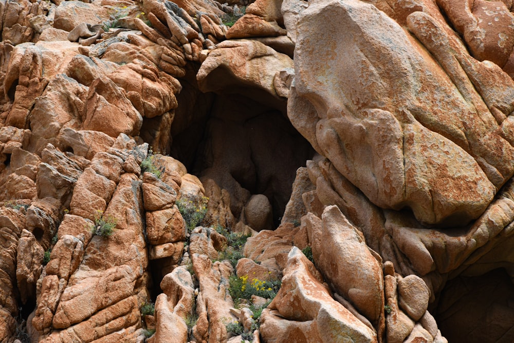 a rock formation with a small green plant growing out of it