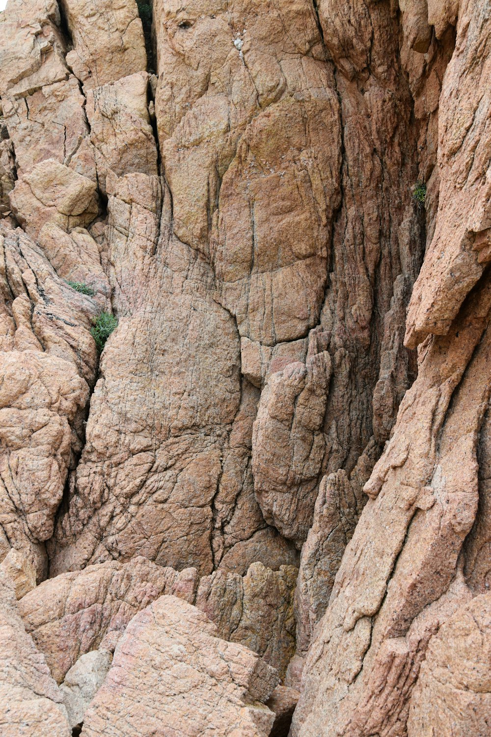 an animal that is standing in the middle of some rocks