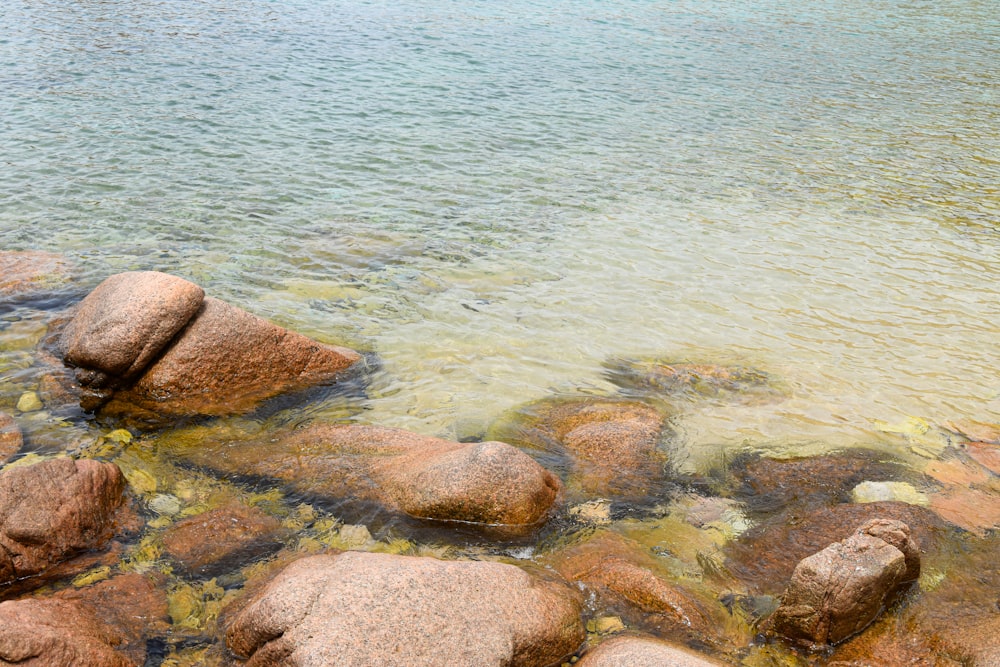 a body of water with rocks in it