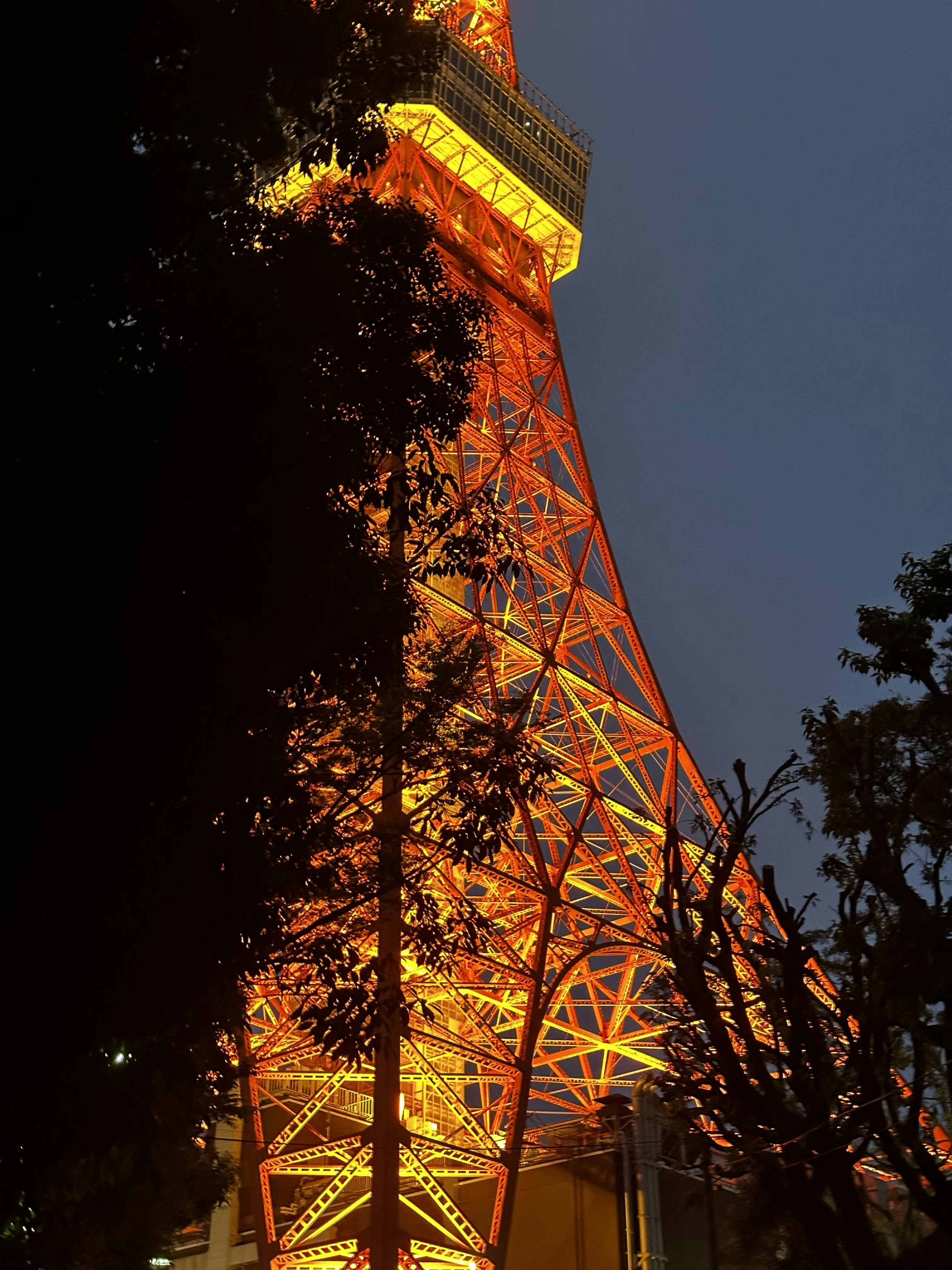 A Torre Eiffel é iluminada à noite