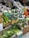A vibrant display of various fresh vegetables neatly arranged in cardboard boxes and plastic packaging. The assortment includes green beans, spinach, broccoli, zucchini, bell peppers, mushrooms, and spring onions, creating a lively and colorful scene.