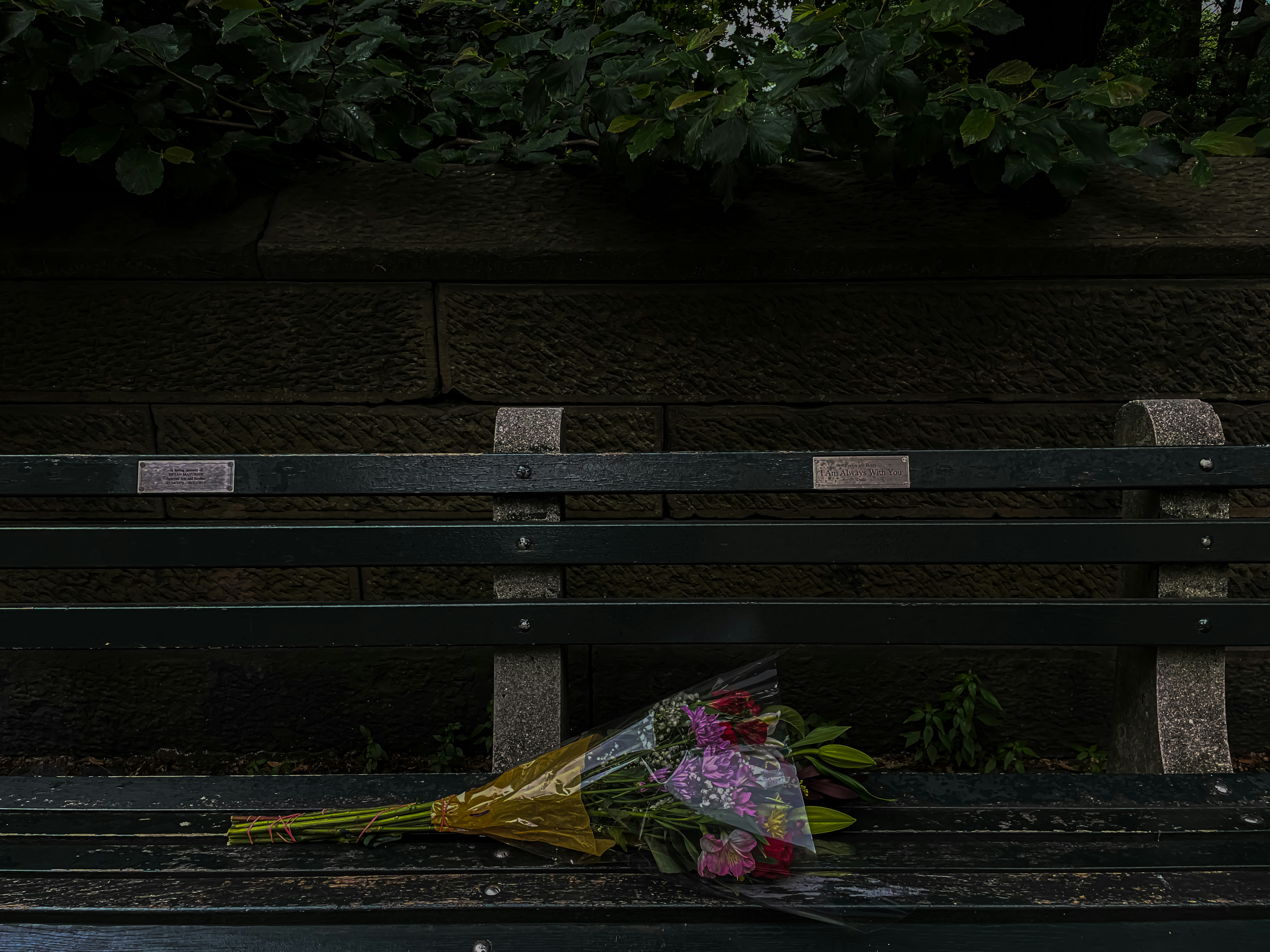 Photo by cestmoisheedy