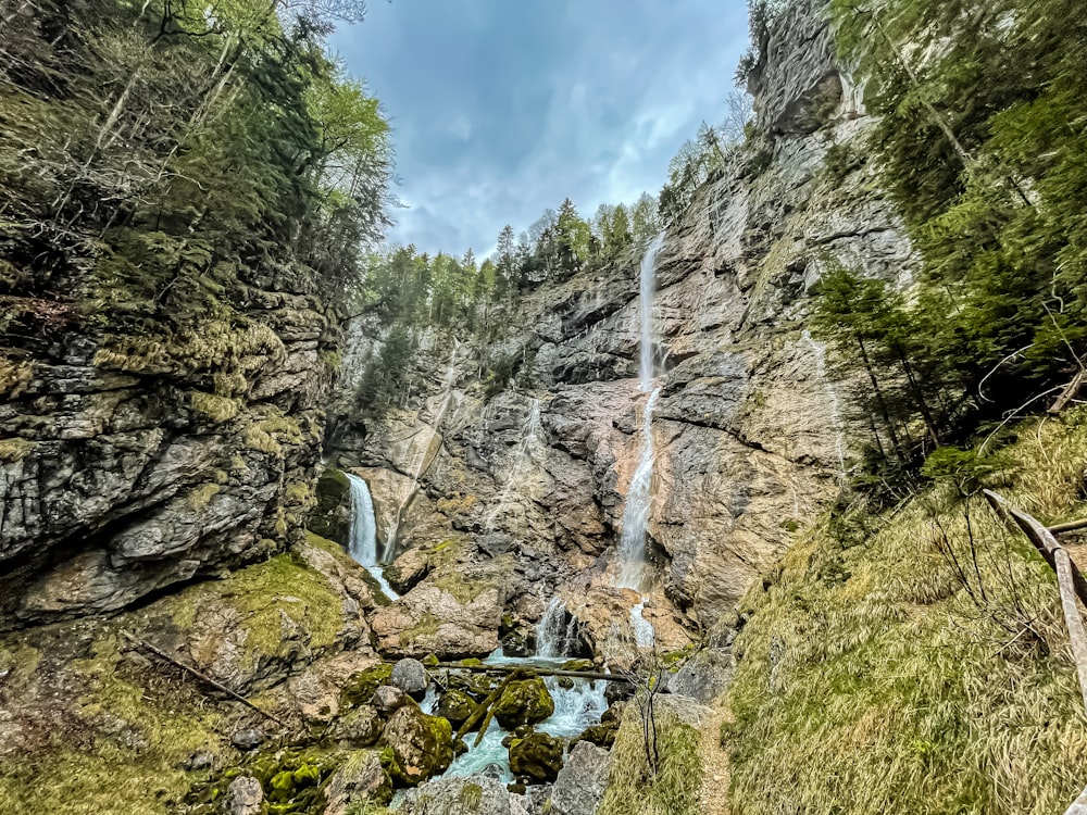 a waterfall in the middle of a forest