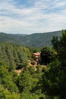 A rustic stone farmhouse with a green forest backdrop in rural Extremadura.