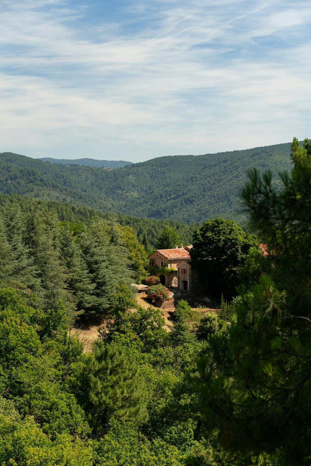 a house in the middle of a forest with mountains in the background