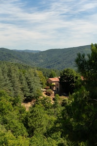 Finca Rural