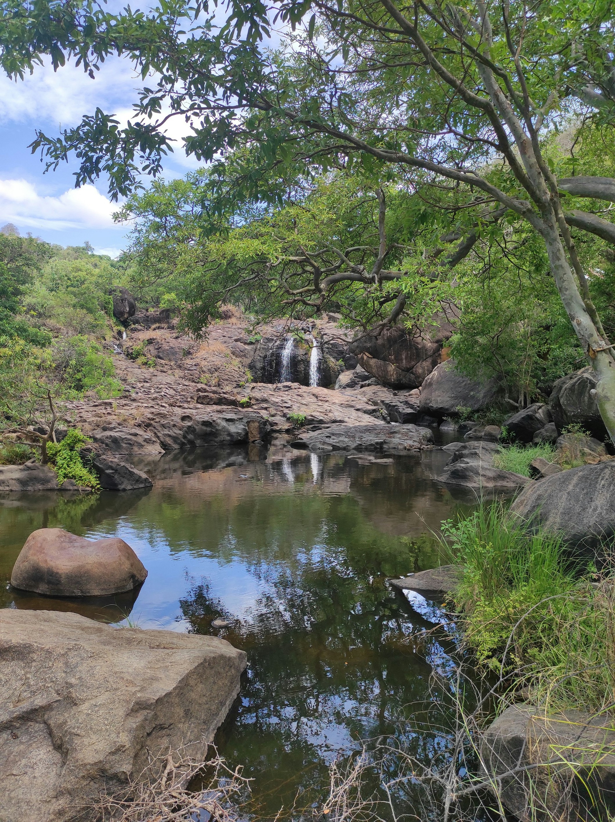 Photo by dinesh_karthic