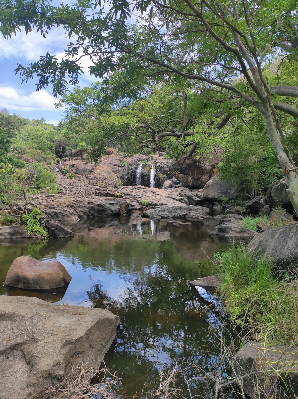 a small waterfall in the middle of a forest