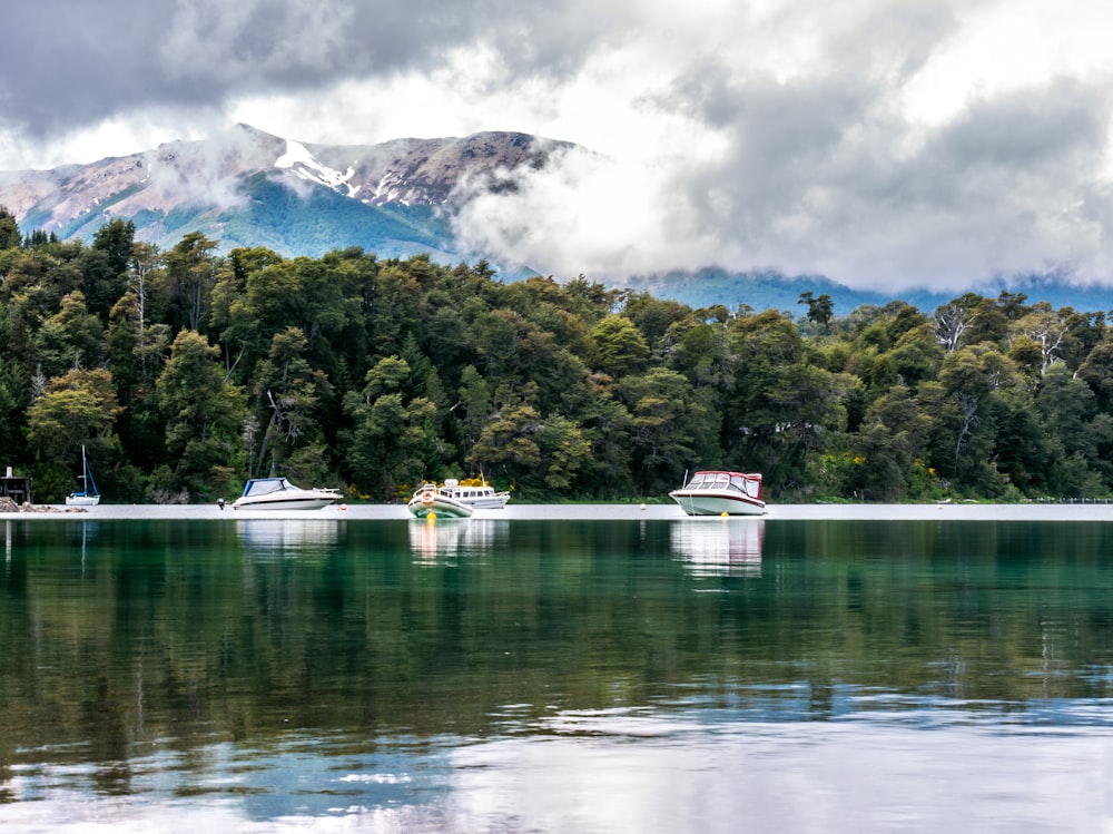 a group of boats floating on top of a lake