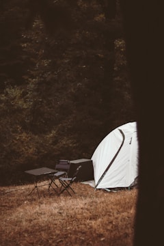 A solitary campsite located in a forested area. A white tent is pitched on dry, brown grass. Two folding chairs and a small table are set up nearby. The background is dense with dark green trees and underbrush, creating a secluded and quiet atmosphere.