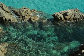 Crystal-clear turquoise waters gently lapping against smooth rocks on a sunny day.