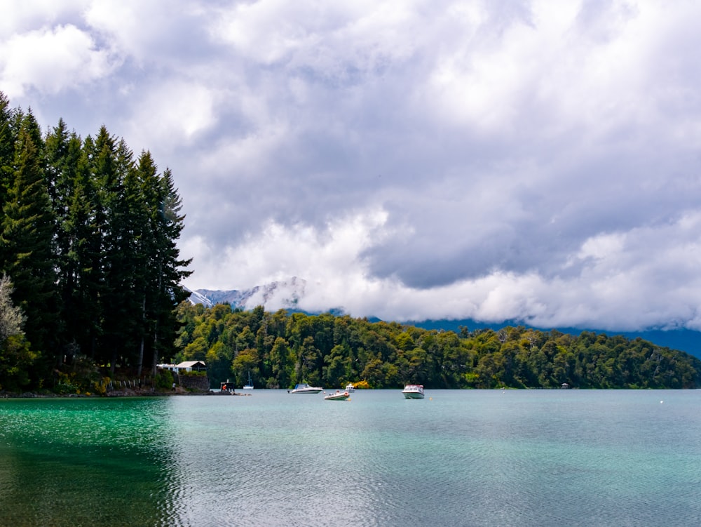 a body of water surrounded by trees and mountains