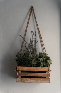 Handwoven rope plant holder dangling with greenery against a rustic wooden wall.