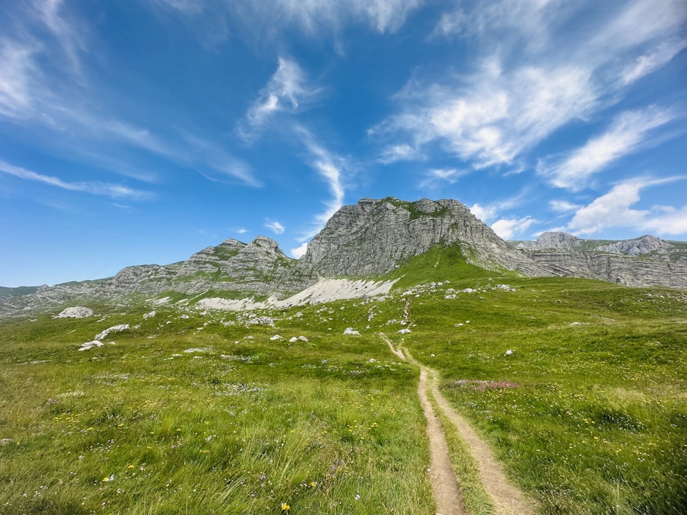 a grassy field with a dirt path in front of a mountain