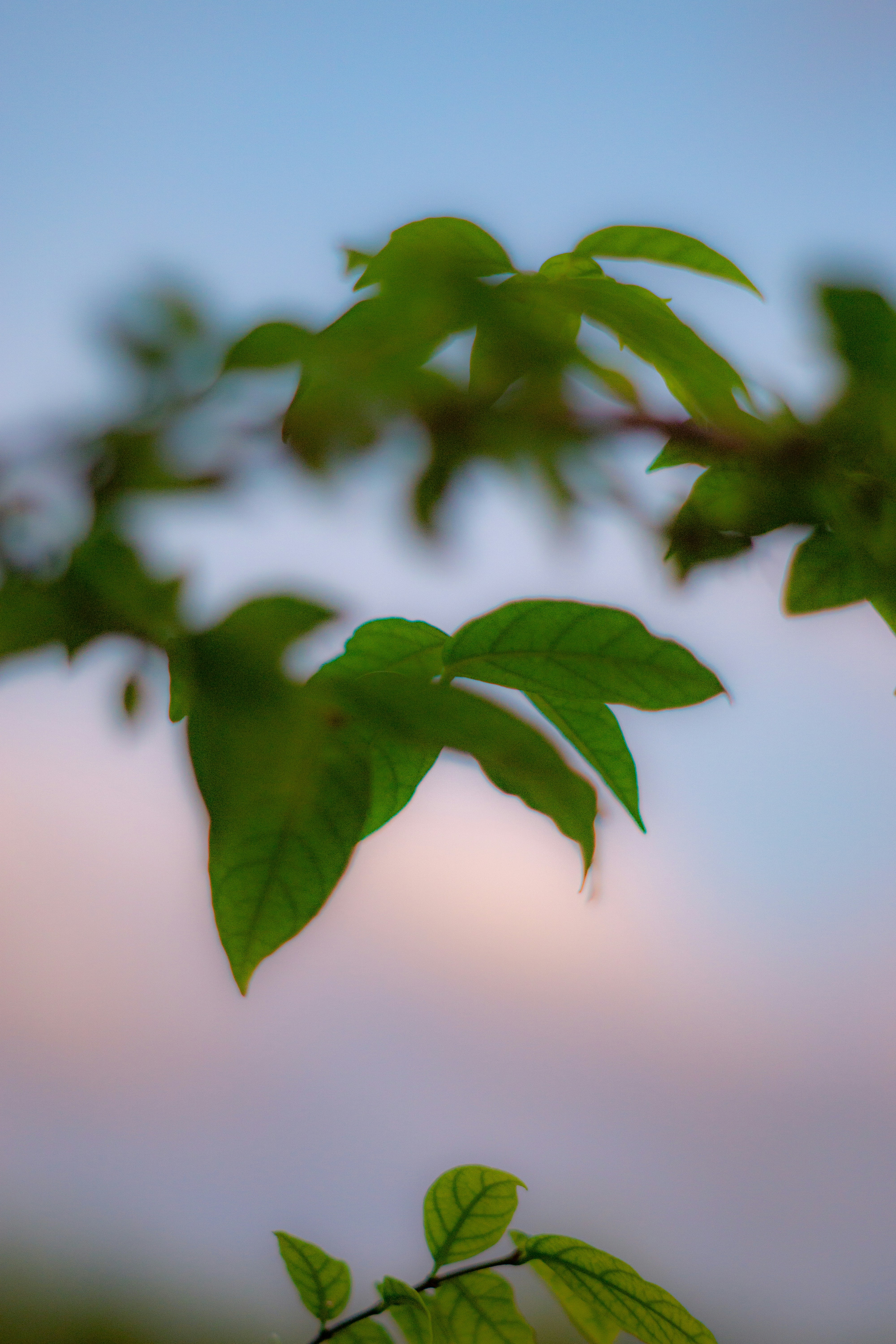 Photo by setsj
