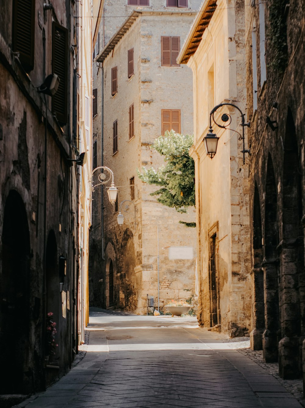 an alley way with a lamp post and a tree in the middle of it