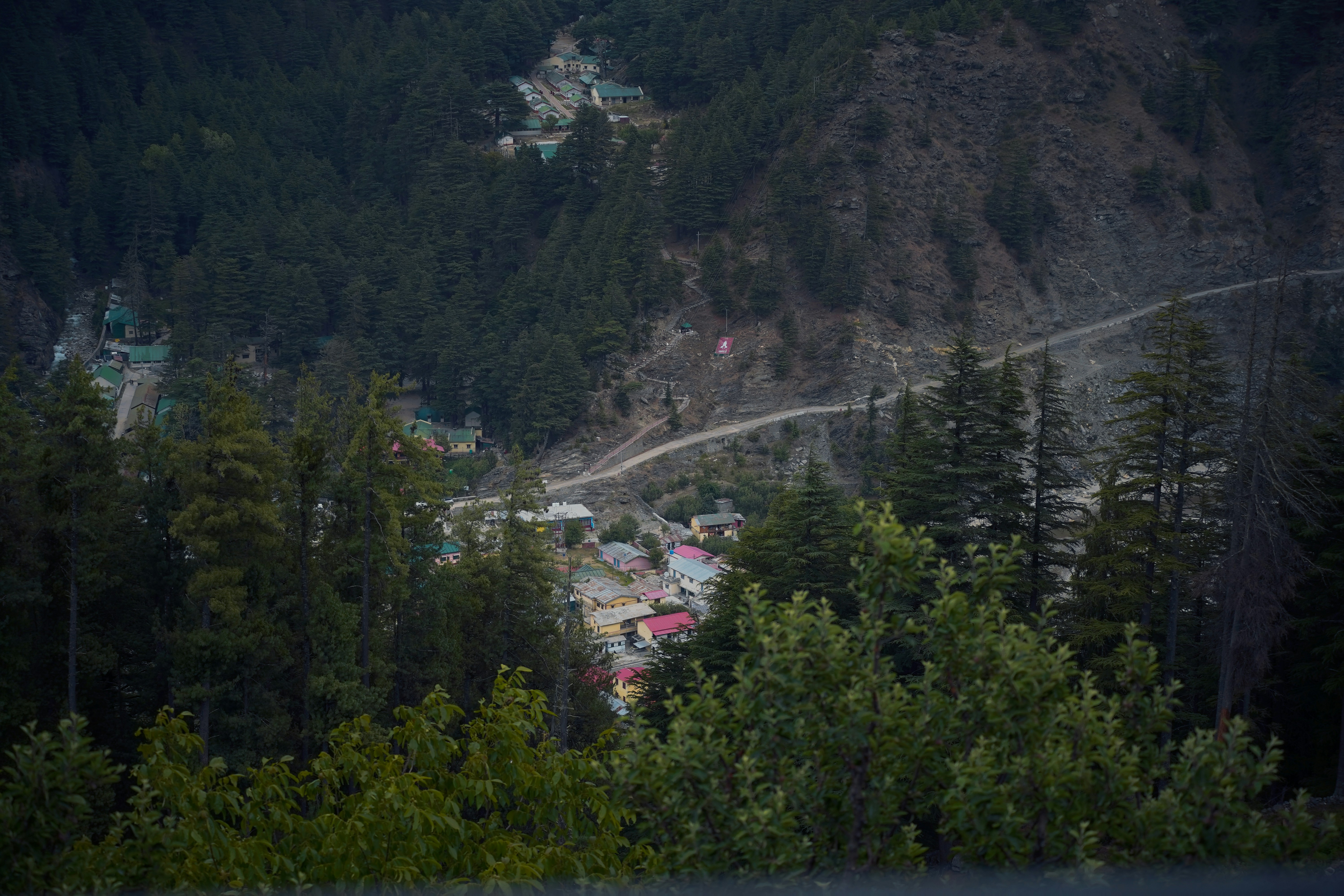 a view of a village in the middle of a forest