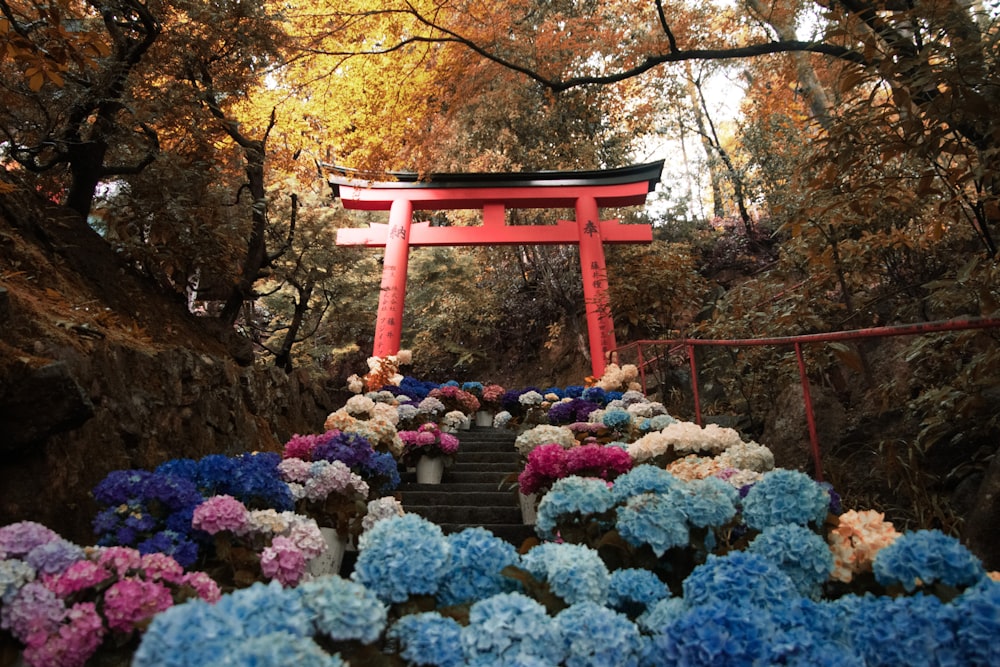 a bunch of flowers that are in front of a gate