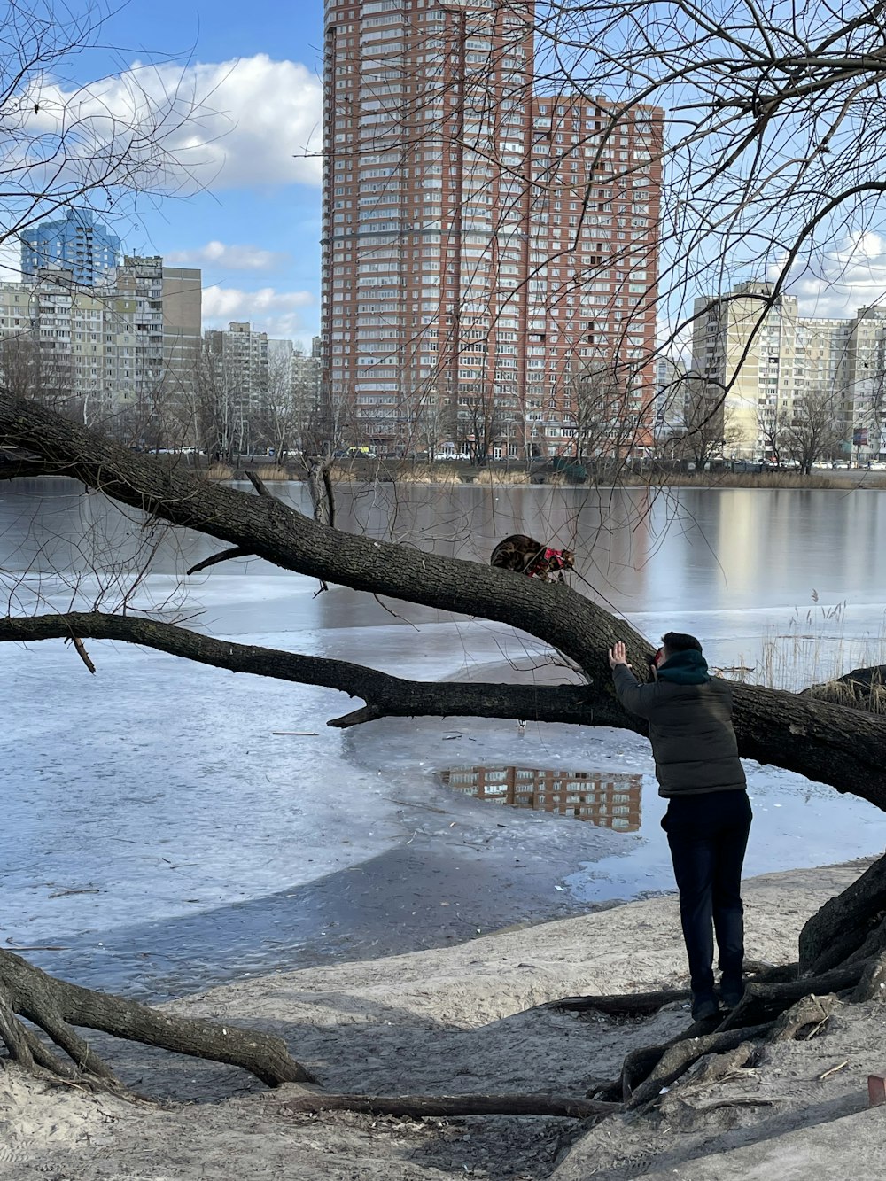 a man standing next to a fallen tree near a body of water