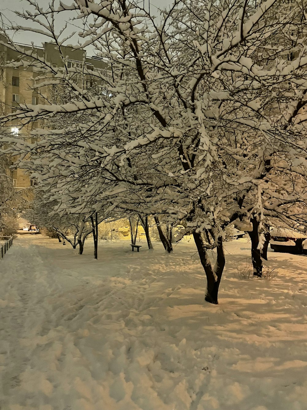 a snow covered park with benches and trees