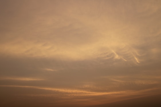 A serene early morning scene with soft navy skies and a single golden light glowing quietly in the distance.