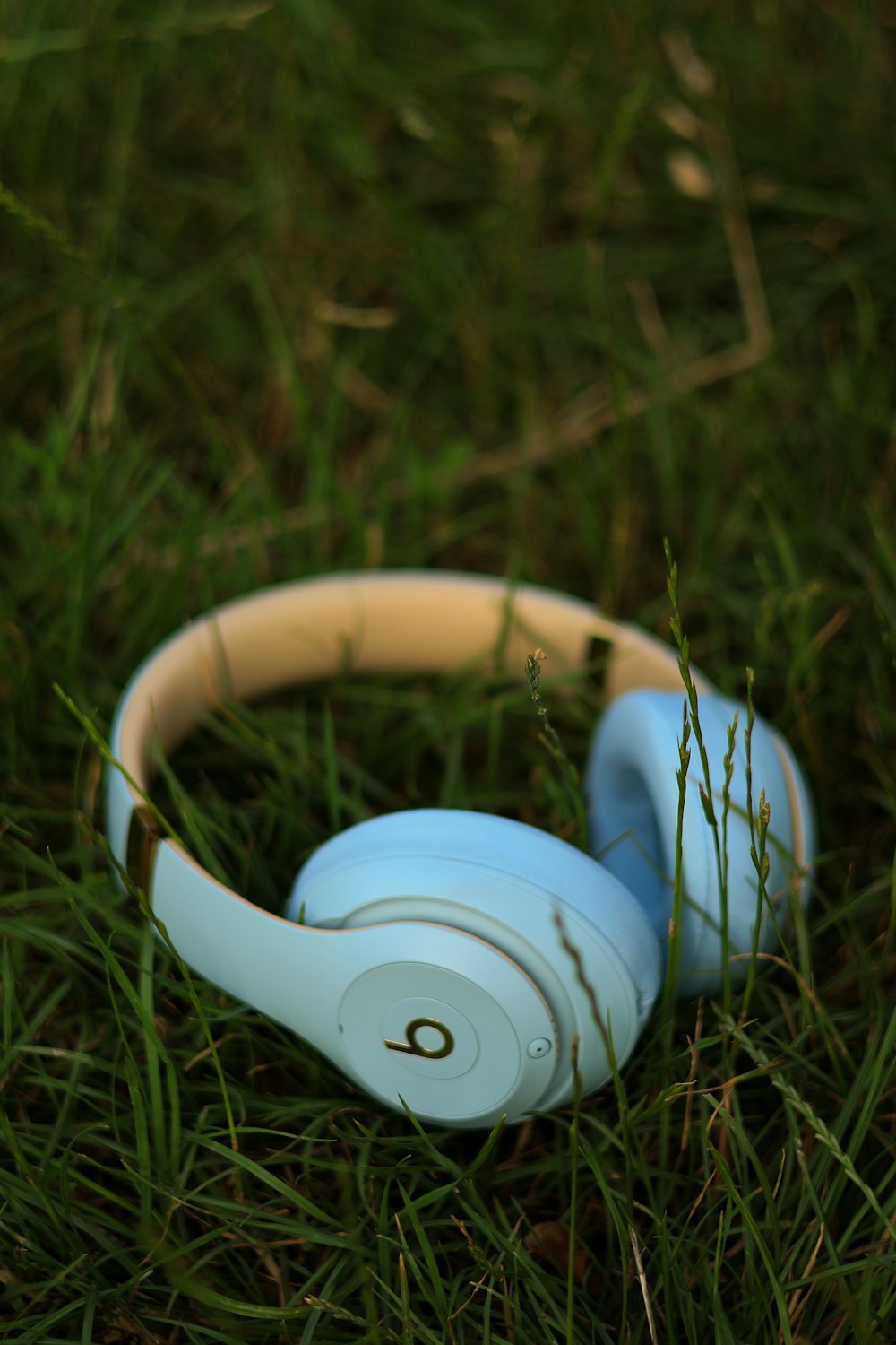 a pair of headphones laying in the grass