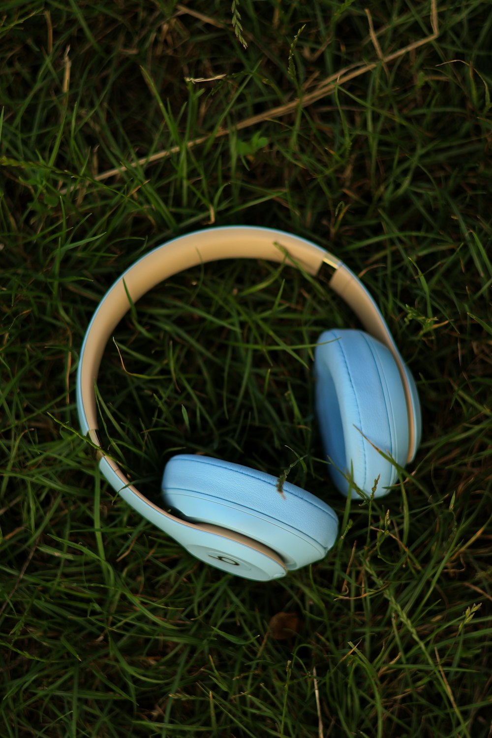 a pair of headphones laying in the grass