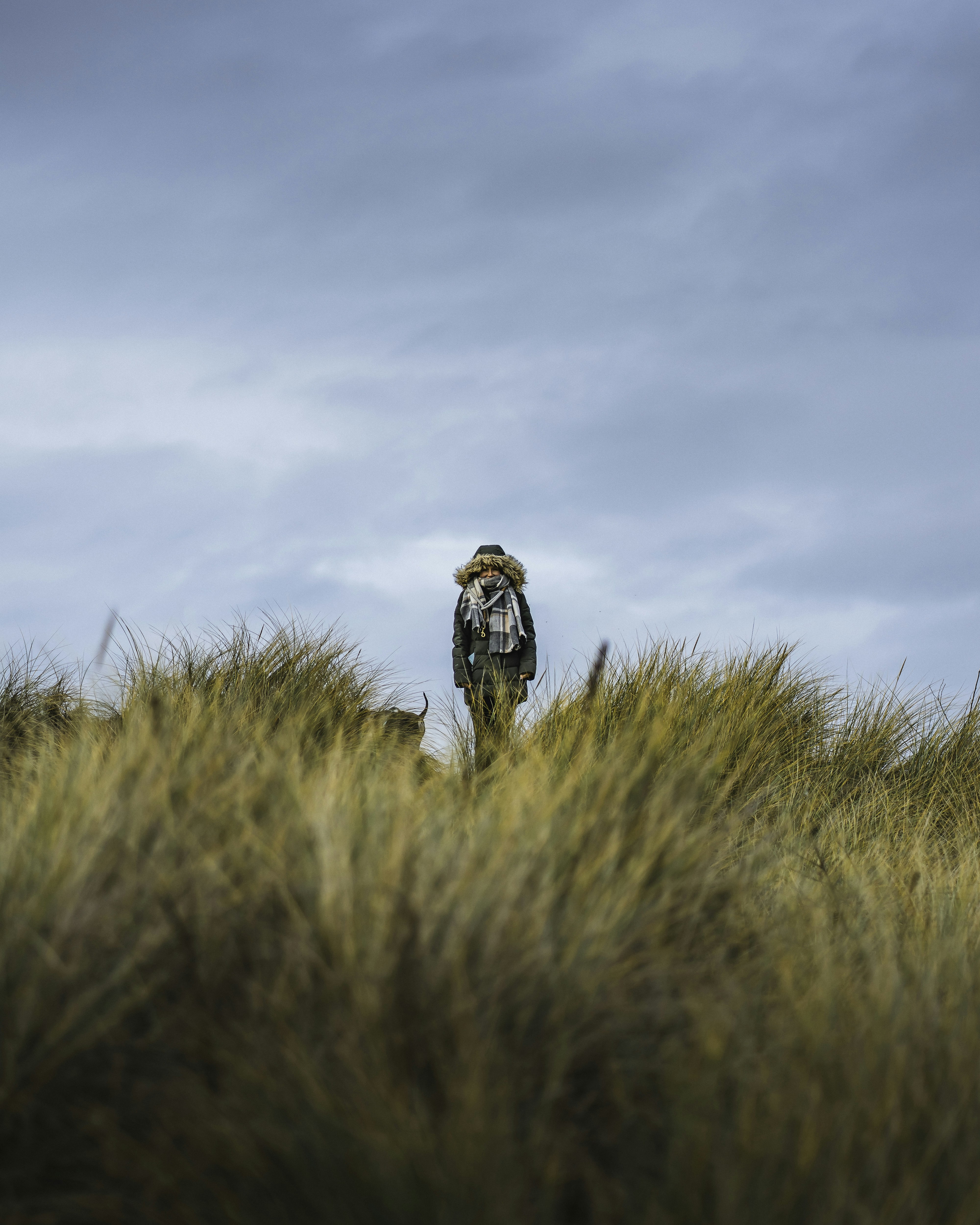 Photo by samuelgirven