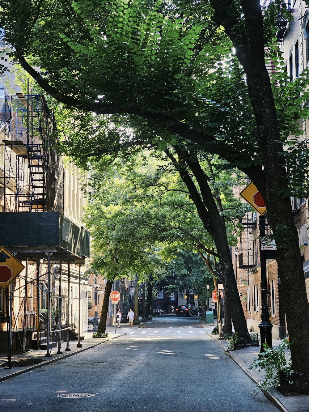 a tree lined street with a fire escape in the background