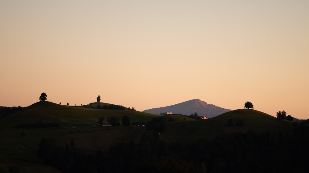 a hill with trees and a mountain in the background