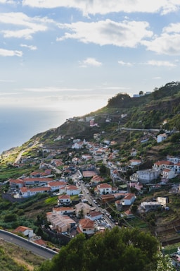 a scenic view of a small town on the side of a hill