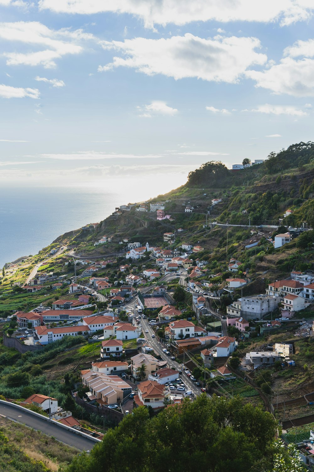 a scenic view of a small town on the side of a hill