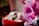 A luxury watch is displayed in a red and white box, accompanied by vibrant purple and pink flowers. The watch has a metal strap and a classic round face, suggesting elegance and sophistication.