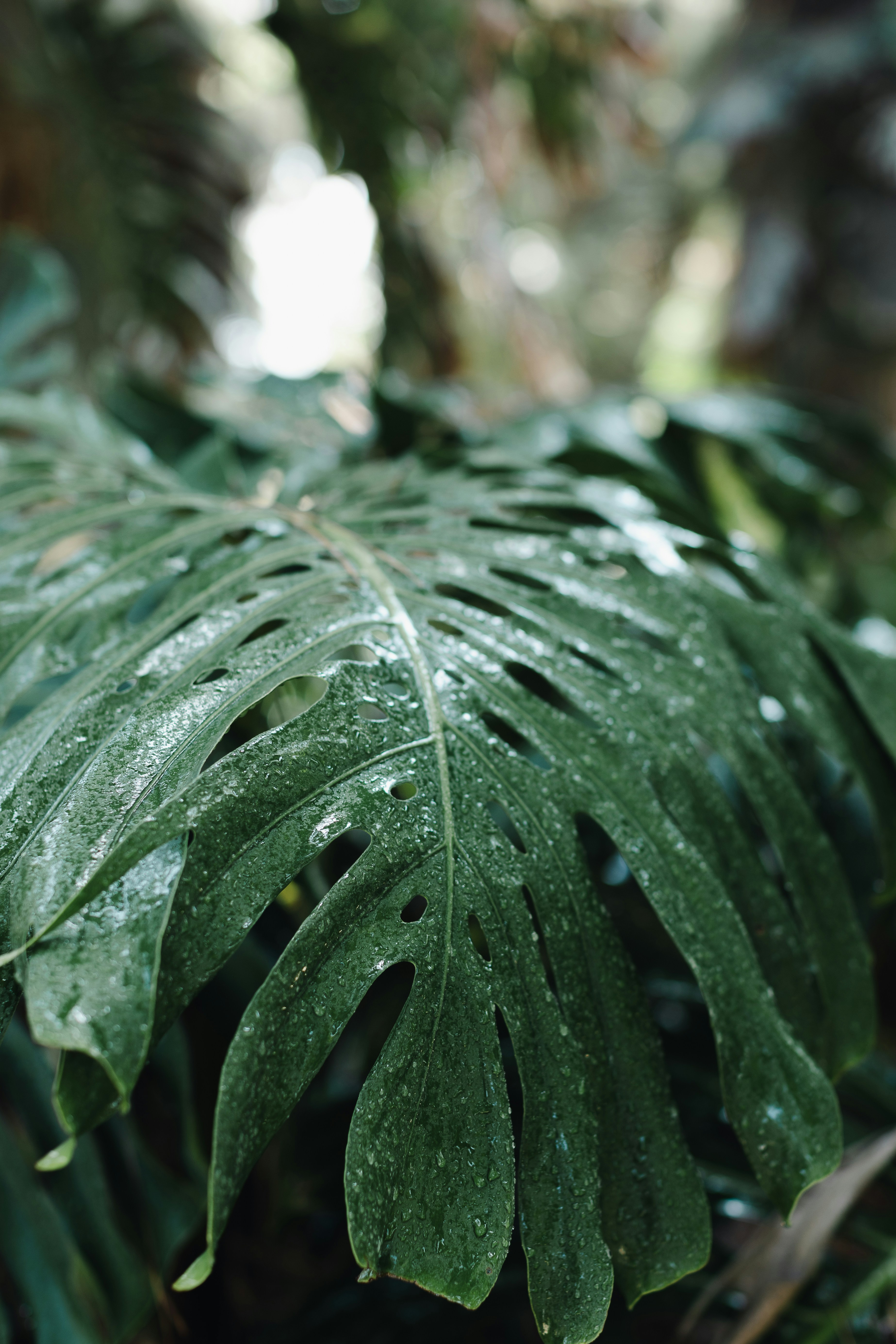 Photo by juliamatuzova